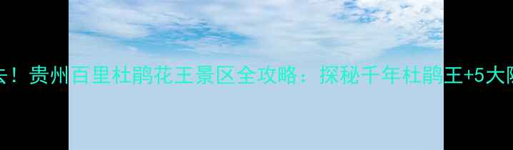 图片 4-5月必去！贵州百里杜鹃花王景区全攻略：探秘千年杜鹃王+5大隐藏玩法1