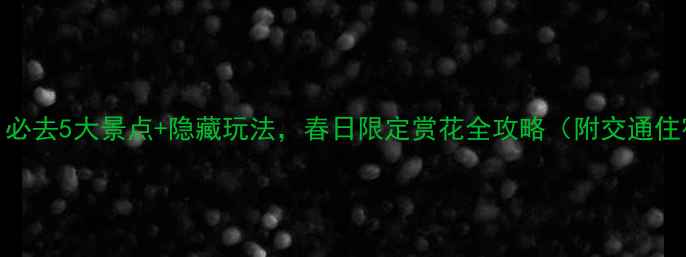 图片 4月本溪旅游攻略｜必去5大景点+隐藏玩法，春日限定赏花全攻略（附交通住宿）｜本溪旅游网2