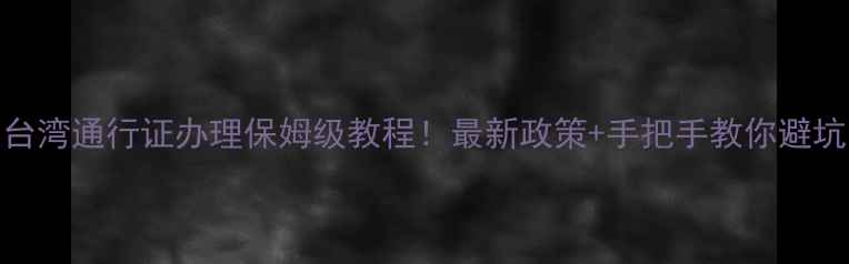 图片 ✨台湾通行证办理保姆级教程！最新政策+手把手教你避坑⏰