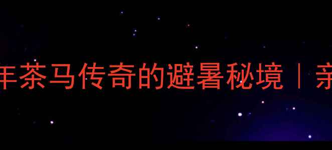 图片 ✨安化茶马古道：穿越千年茶马传奇的避暑秘境｜亲子摄影徒步必打卡攻略🌿