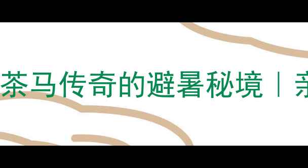 安化茶马古道穿越千年茶马传奇的避暑秘境亲子摄影徒步必打卡攻略