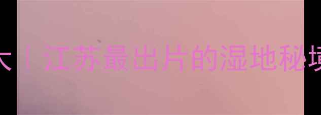 图片 ✨宝应小众旅行地大｜江苏最出片的湿地秘境+古风村落攻略🌿2