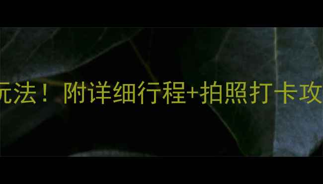 图片 ✨昆明官渡古镇必去理由+隐藏玩法！附详细行程+拍照打卡攻略📸（附交通美食住宿全攻略）