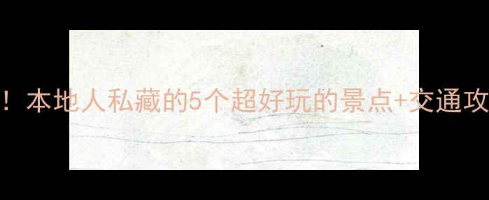 图片 ✨武汉站必打卡！本地人私藏的5个超好玩的景点+交通攻略+美食推荐🚇2