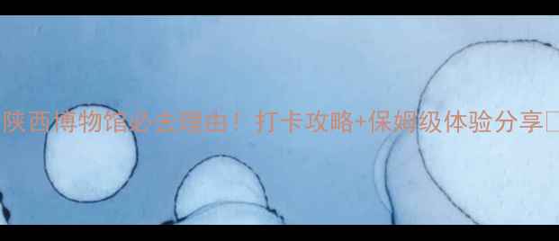 图片 ✨陕西博物馆必去理由！打卡攻略+保姆级体验分享✨2