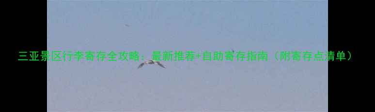 图片 三亚景区行李寄存全攻略：最新推荐+自助寄存指南（附寄存点清单）