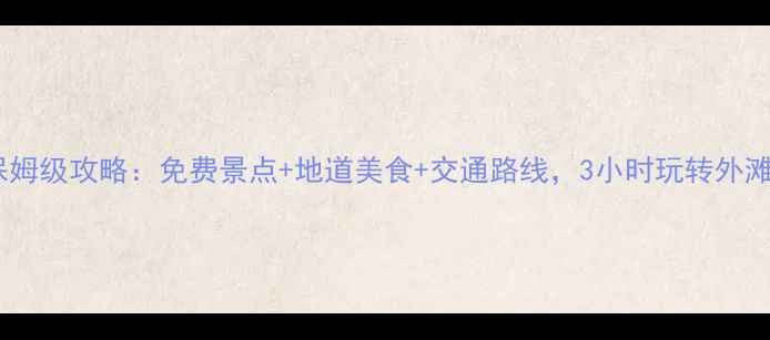 图片 上海一日游保姆级攻略：免费景点+地道美食+交通路线，3小时玩转外滩到新天地！2