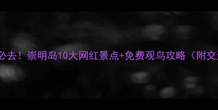 上海周边亲子游必去崇明岛10大网红景点免费观鸟攻略附交通住宿全攻略