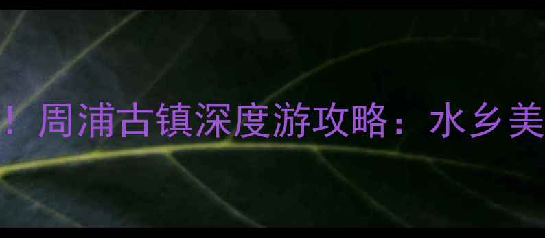 上海周边游必去周浦古镇深度游攻略水乡美食亲子景点全