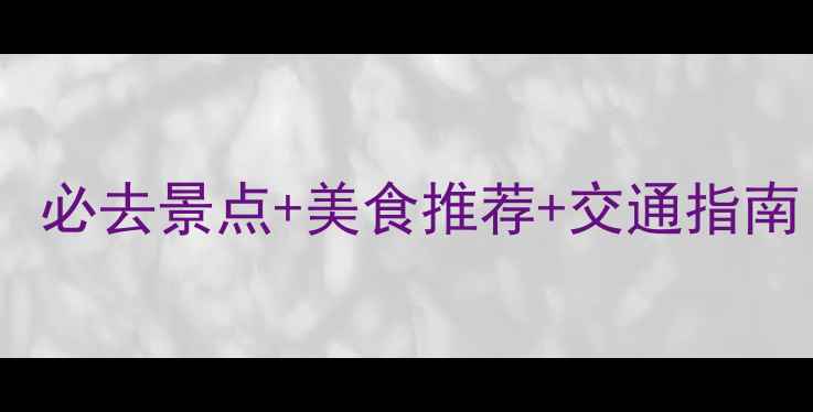 上海嘉定旅游全攻略必去景点美食推荐交通指南附最新游玩攻略