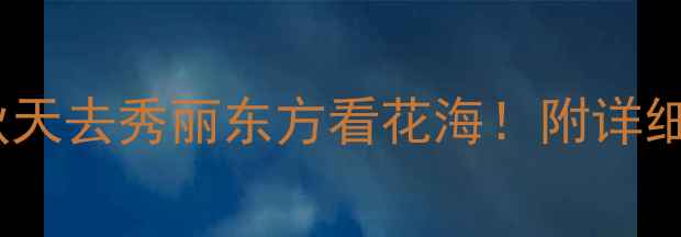 上海必打卡秋天去秀丽东方看花海附详细攻略拍照技巧