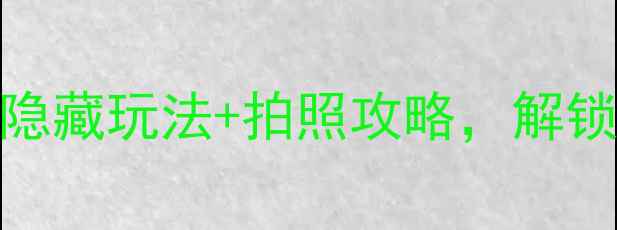 图片 上海思南路必去！5个隐藏玩法+拍照攻略，解锁梧桐树下的文艺时光1