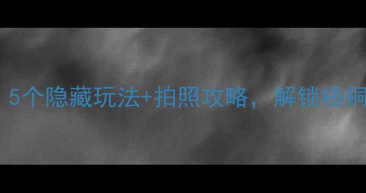上海思南路必去5个隐藏玩法拍照攻略解锁梧桐树下的文艺时光
