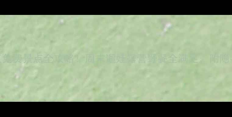 上海松江免费景点全攻略周末遛娃露营野餐全满足附隐藏机位