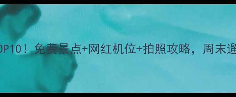 图片 上海松江必玩TOP10！免费景点+网红机位+拍照攻略，周末遛娃露营全攻略2