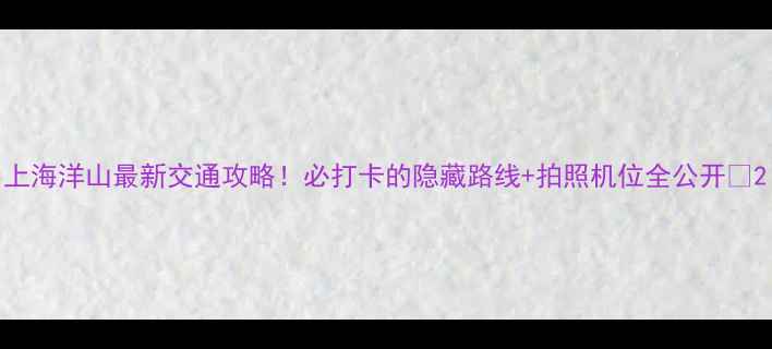 图片 上海洋山最新交通攻略！必打卡的隐藏路线+拍照机位全公开🌊2