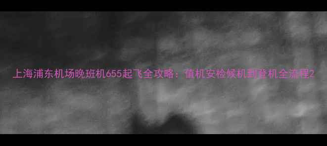 上海浦东机场晚班机655起飞全攻略值机安检候机到登机全流程