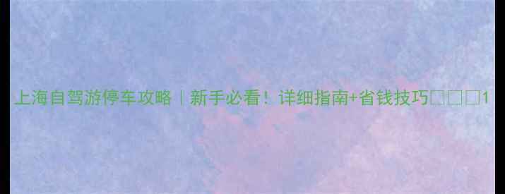图片 上海自驾游停车攻略｜新手必看！详细指南+省钱技巧🚗🅿️1