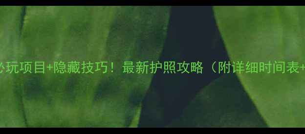 上海迪士尼必玩项目隐藏技巧最新护照攻略附详细时间表省钱指南