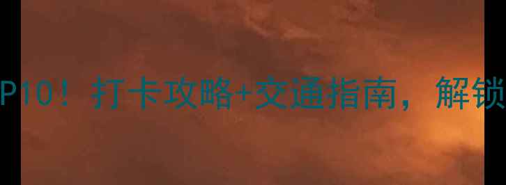 上海龙华必去景点TOP10打卡攻略交通指南解锁小众秘境与网红地标