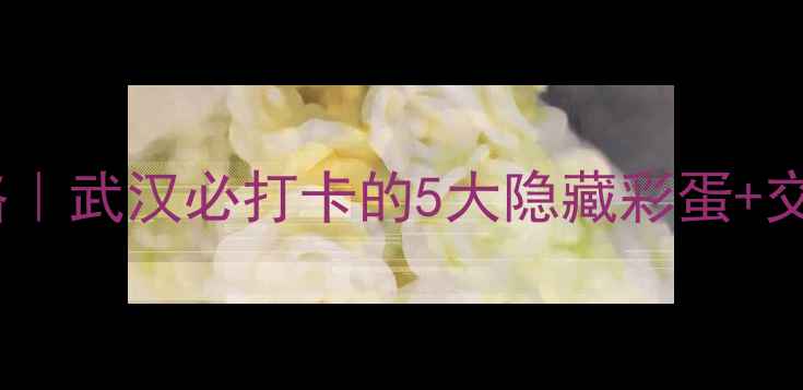 东湖风景区旅游攻略武汉必打卡的5大隐藏彩蛋交通住宿全攻略