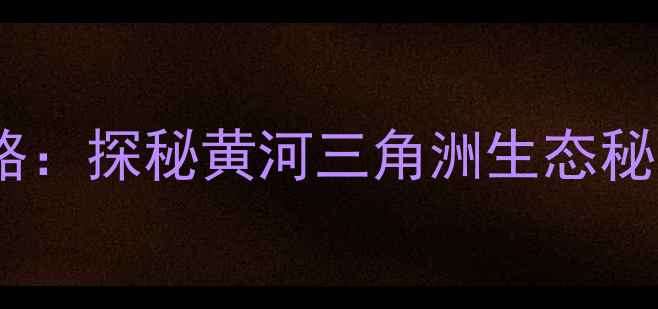 图片 东营黄河入海口旅游全攻略：探秘黄河三角洲生态秘境，解锁三大必打卡体验1