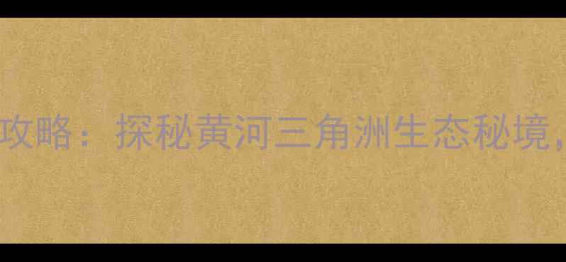 图片 东营黄河入海口旅游全攻略：探秘黄河三角洲生态秘境，解锁三大必打卡体验2