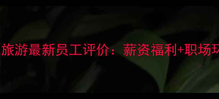 图片 中华龙旅游最新员工评价：薪资福利+职场环境全1