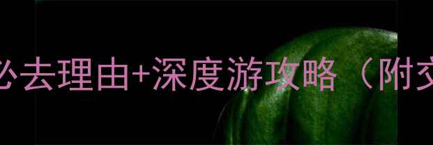 图片 中卫沙坡头景区必去理由+深度游攻略（附交通住宿全指南）