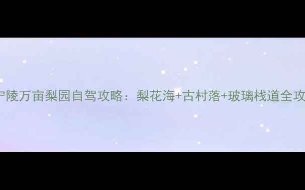 图片 中原春色天花板！宁陵万亩梨园自驾攻略：梨花海+古村落+玻璃栈道全攻略（附交通住宿）1