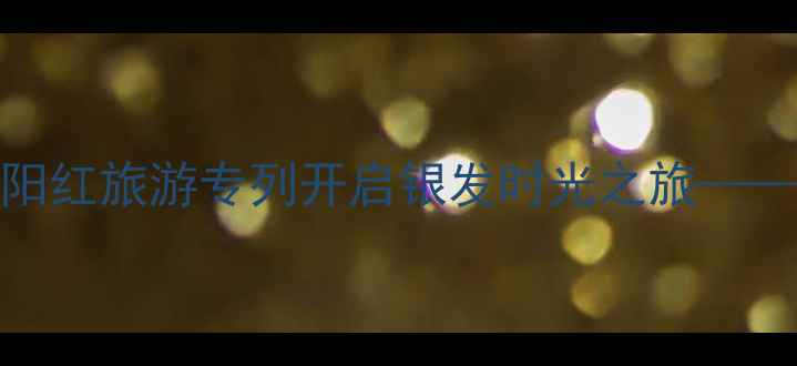 中老年专属沈阳夕阳红旅游专列开启银发时光之旅全年线路福利攻略