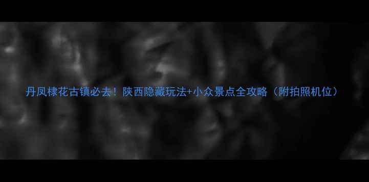 图片 丹凤棣花古镇必去！陕西隐藏玩法+小众景点全攻略（附拍照机位）