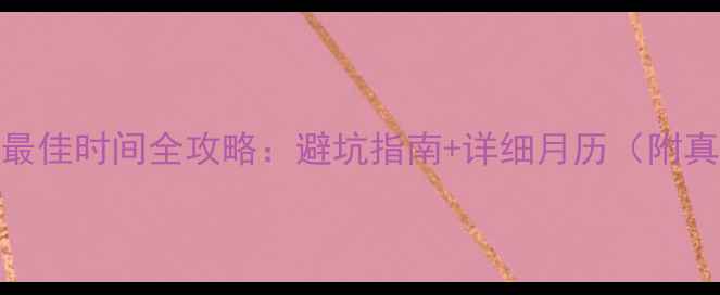 图片 丽江旅游最佳时间全攻略：避坑指南+详细月历（附真实体验）