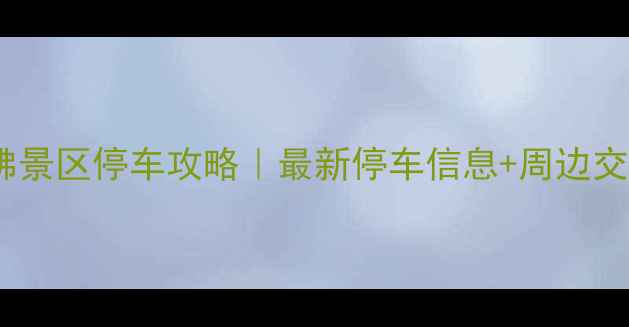 乐山大佛景区停车攻略最新停车信息周边交通全