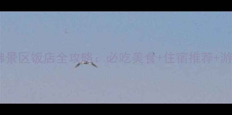 图片 乐山大佛景区饭店全攻略：必吃美食+住宿推荐+游玩路线2