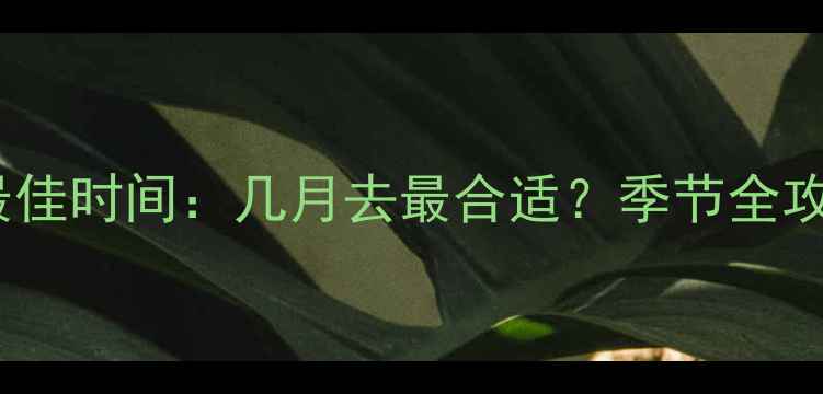 图片 九寨沟旅游最佳时间：几月去最合适？季节全攻略+避坑指南