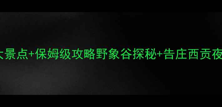 云南嘎洒镇必去5大景点保姆级攻略野象谷探秘告庄西贡夜市勐腊大佛寺全