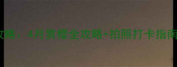 图片 云南澄江樱花谷攻略：4月赏樱全攻略+拍照打卡指南（附交通住宿）1
