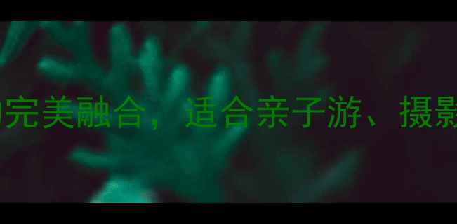 图片 信阳董寨保护区攻略：自然与生态的完美融合，适合亲子游、摄影爱好者的必去之地！最新游玩指南2