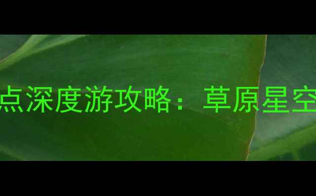 图片 内蒙古巴盟必去十大景点深度游攻略：草原星空露营+沙漠绿洲体验全1