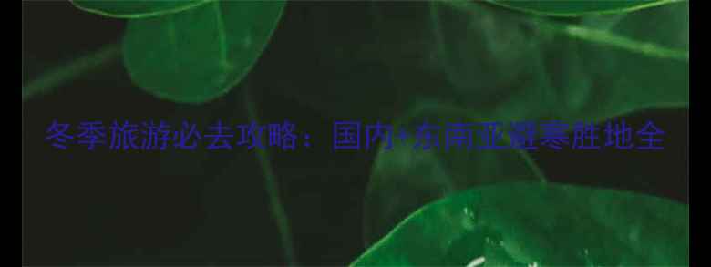 冬季旅游必去攻略国内东南亚避寒胜地全
