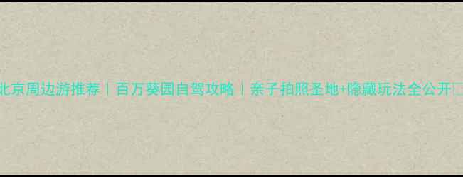 北京周边游推荐百万葵园自驾攻略亲子拍照圣地隐藏玩法全公开