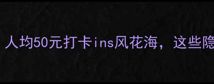 南宁亿仓花海攻略人均50元打卡ins风花海这些隐藏玩法你试过吗