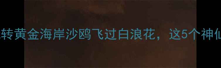 南通海边攻略人均500玩转黄金海岸沙鸥飞过白浪花这5个神仙景点承包你的夏日浪漫