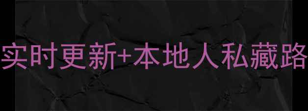 厦门必玩RTV攻略实时更新本地人私藏路线解锁小众玩法