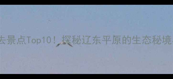 图片 双辽旅游必去景点Top10！探秘辽东平原的生态秘境与人文瑰宝1