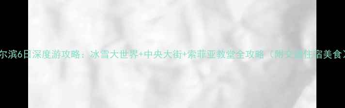 图片 哈尔滨6日深度游攻略：冰雪大世界+中央大街+索菲亚教堂全攻略（附交通住宿美食）2