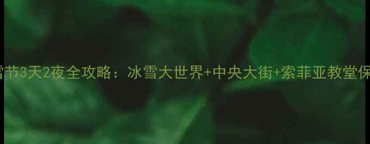 图片 哈尔滨冰雪节3天2夜全攻略：冰雪大世界+中央大街+索菲亚教堂保姆级路线2