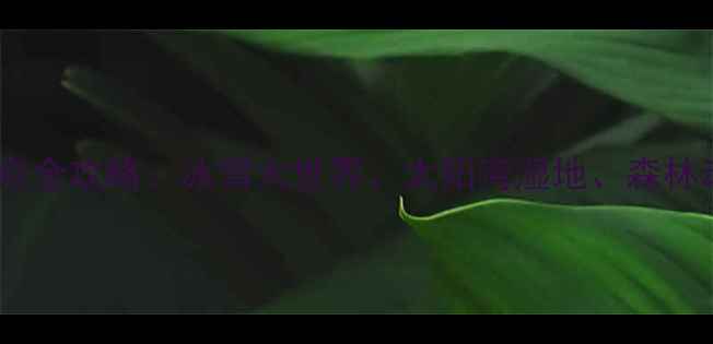 图片 哈尔滨太阳岛必去景点全攻略：冰雪大世界、太阳湾湿地、森林动物园及亲子游指南1