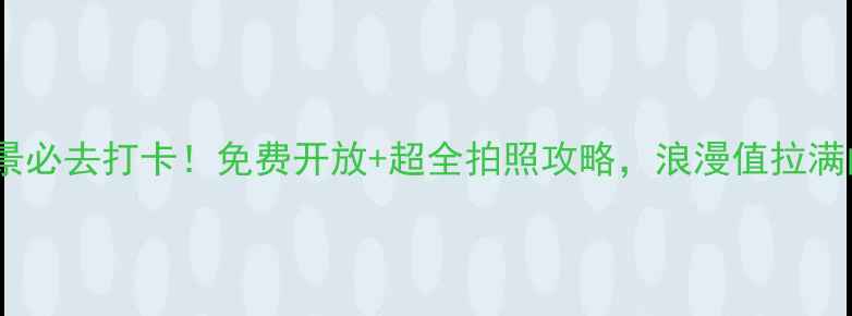 图片 嘉兴南湖夜景必去打卡！免费开放+超全拍照攻略，浪漫值拉满的湖畔童话1